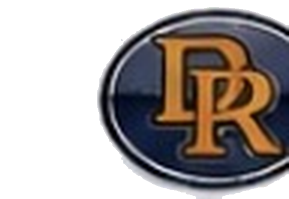 Delray Rocks logo
